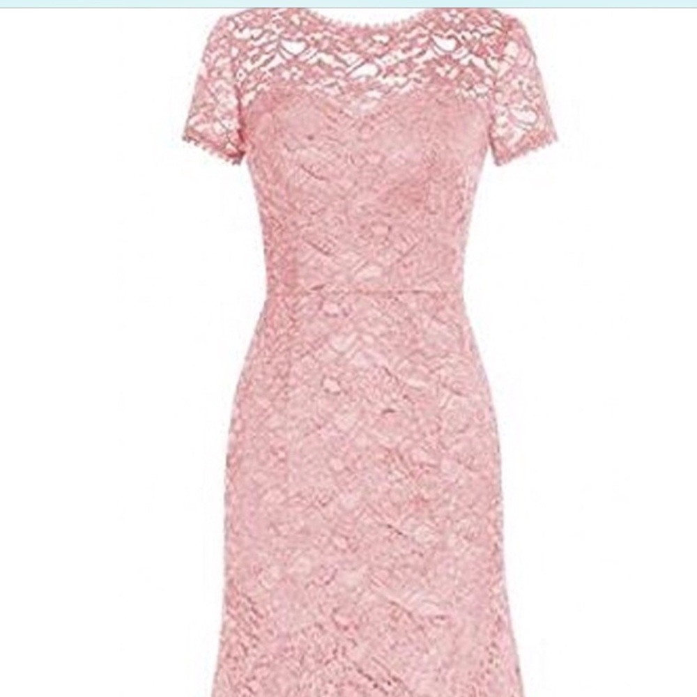 Blush lace full length dress